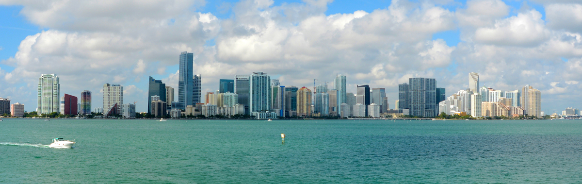 Downtown Miami Skyline