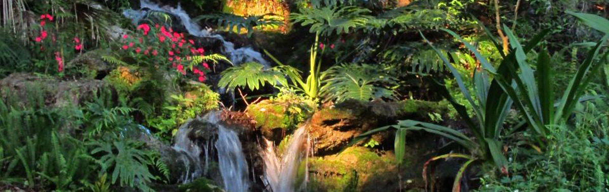 Seminole Waterfall, Rainbow Springs State Park, Florida